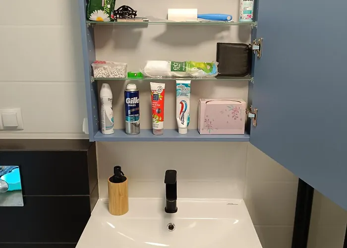 公寓 Magnolia 华沙