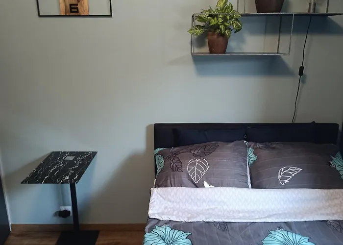 Magnolia 公寓 华沙