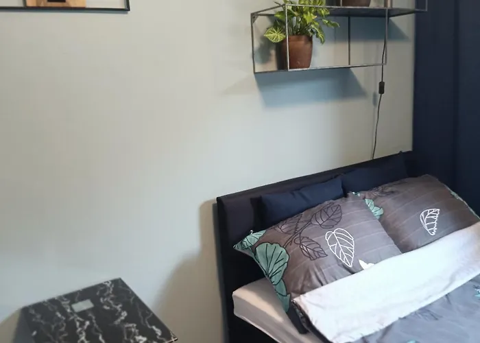 Magnolia 公寓 华沙